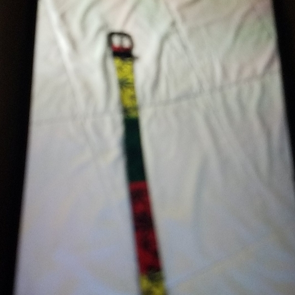 Belt - Picture 2 of 4